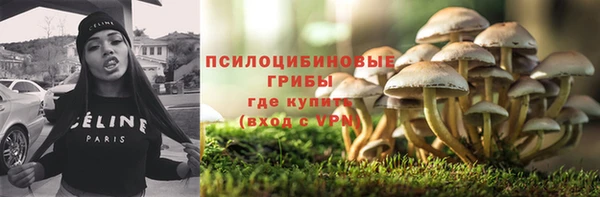 дмт Беломорск
