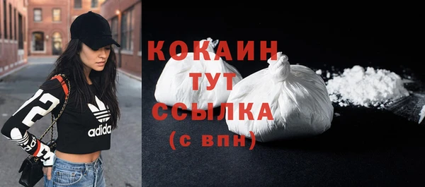 мдпв Белокуриха