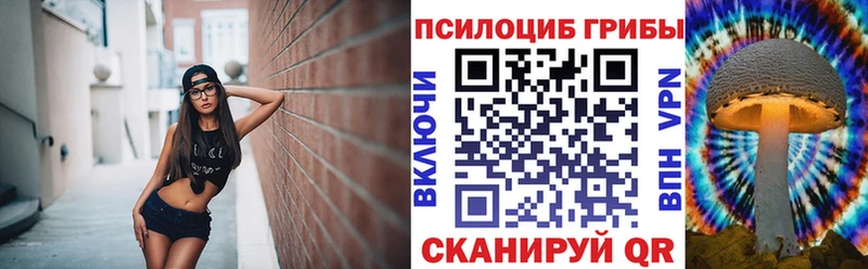 дарнет шоп  Чистополь  Псилоцибиновые грибы GOLDEN TEACHER 