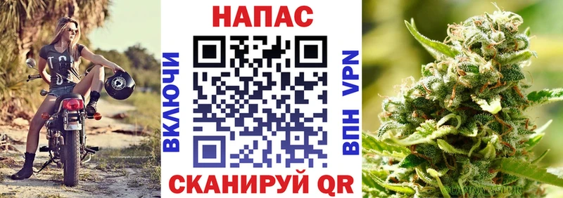 Бошки марихуана планчик  МЕГА ССЫЛКА  Чистополь  купить закладку 